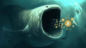 Bitcoin At A Discount: Whales Continue To Gobble Up Every Price Dip